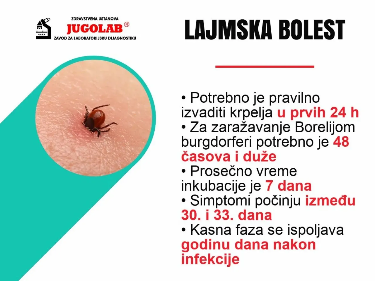 Lajmska bolest